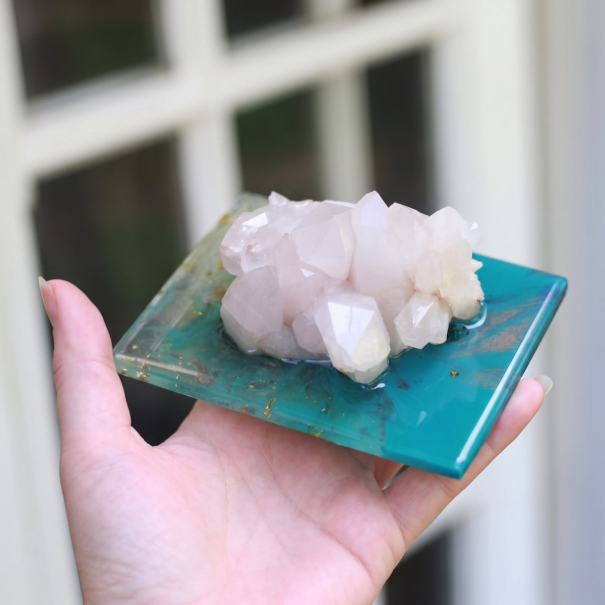 奧根珍藏盒～深海喜馬拉雅
