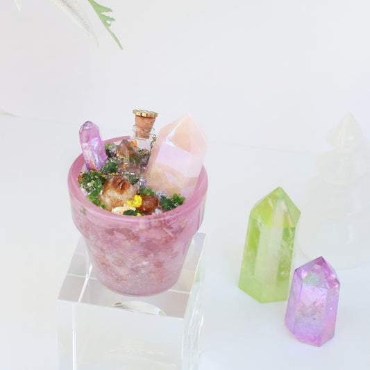 草藥心願盆栽~愛