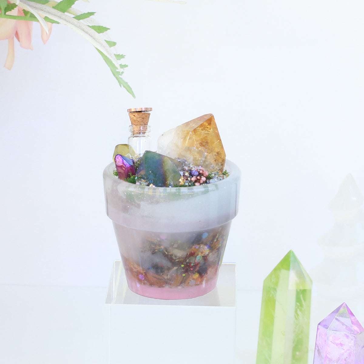 草藥心願盆栽~願望