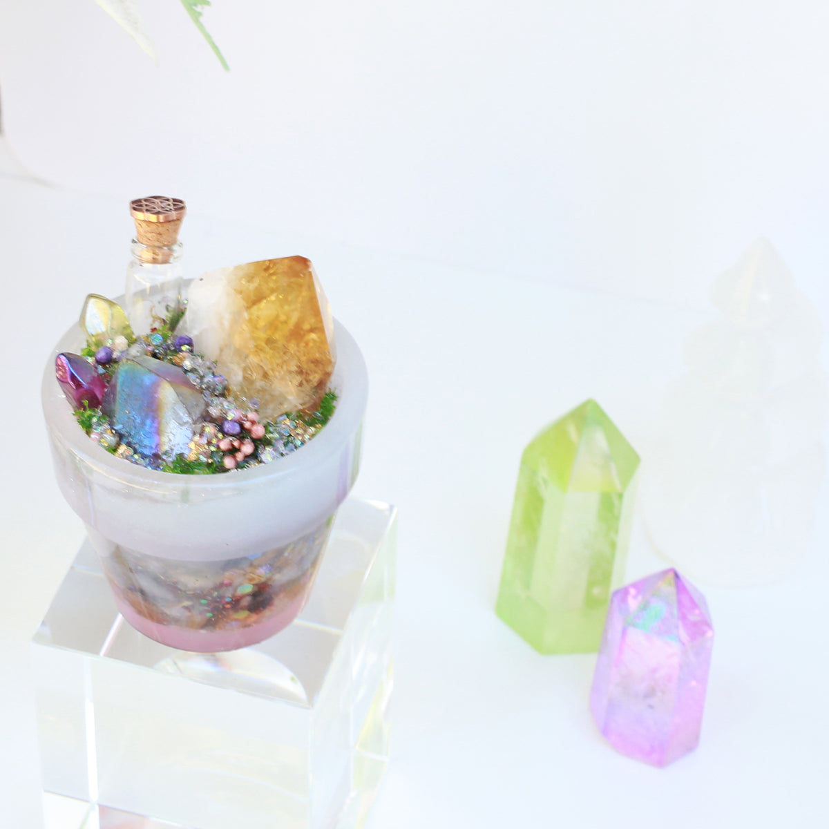 草藥心願盆栽~願望