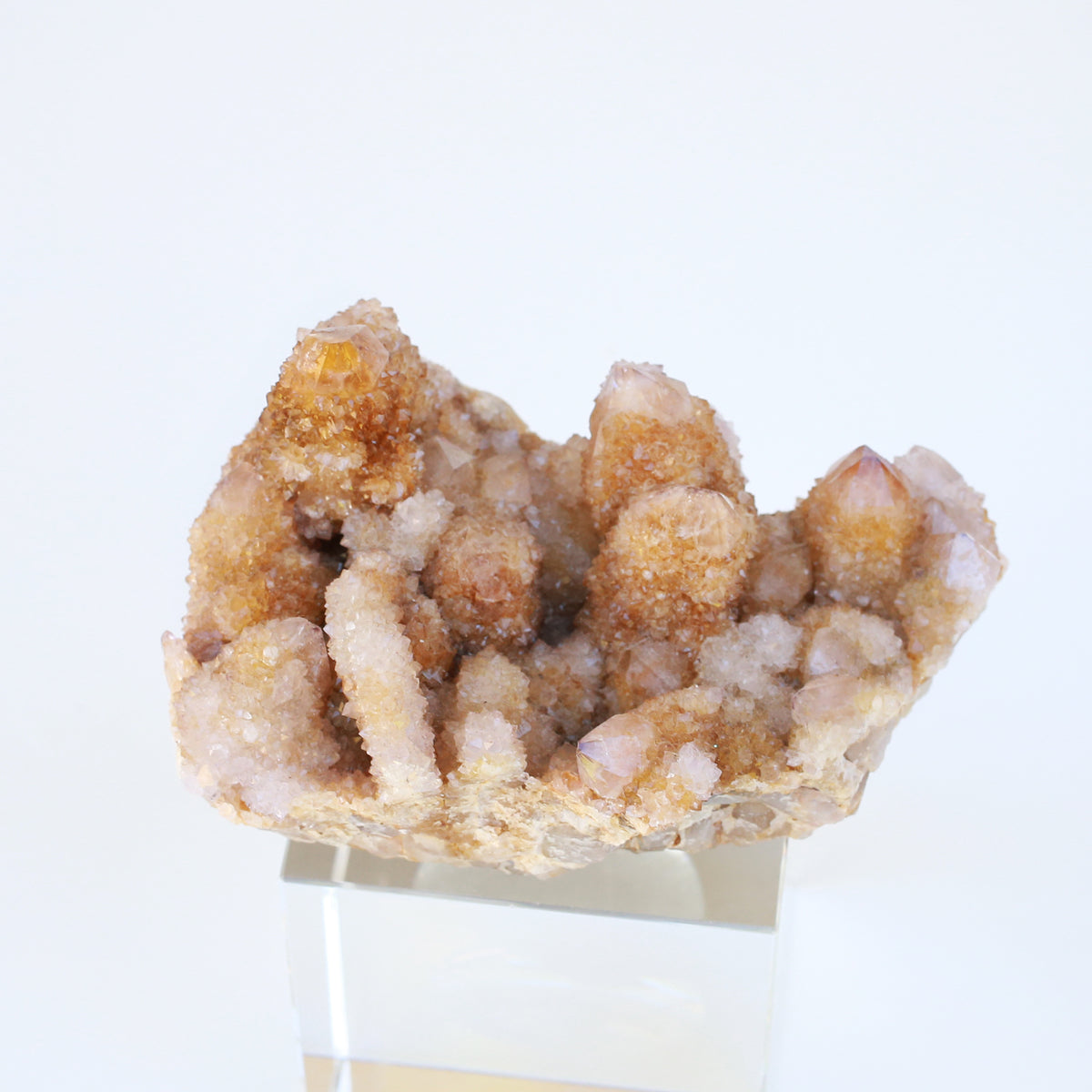 奧根能量盤與黃金仙人掌水晶