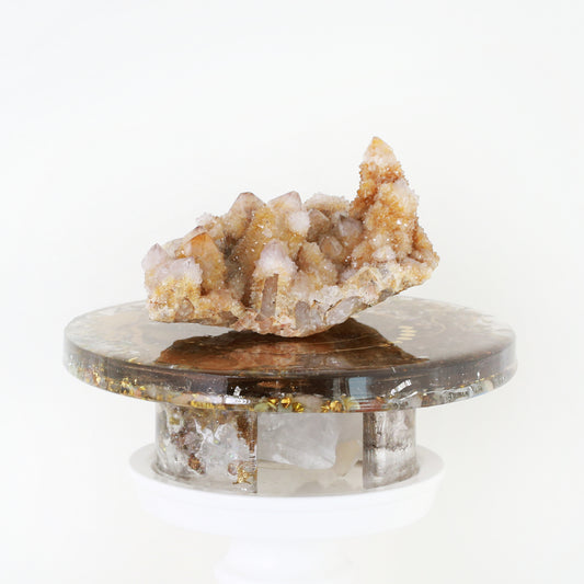 奧根能量盤與黃金仙人掌水晶