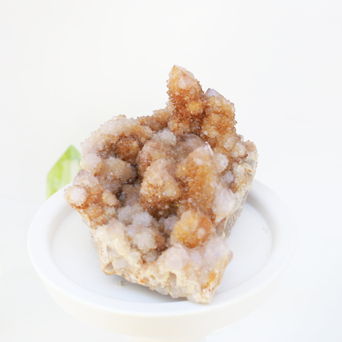 奧根能量盤與黃金仙人掌水晶